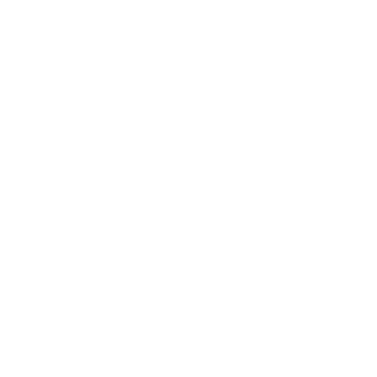 Values Icon-2