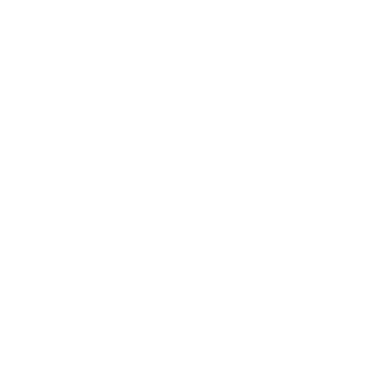 Values Icon-3