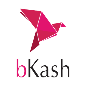 bkash icon